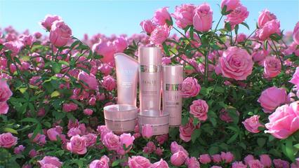 玫瑰之韻 三維場景中的創新化妝品與衛生用品設計